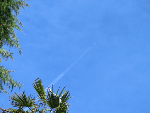今日の空、UV対策必要ですね